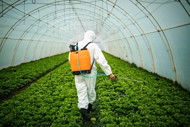 Pest Prevention Services in Hyrum, UT