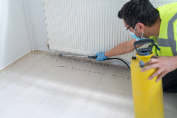 Reliable Hyrum, UT Pest Control Solutions