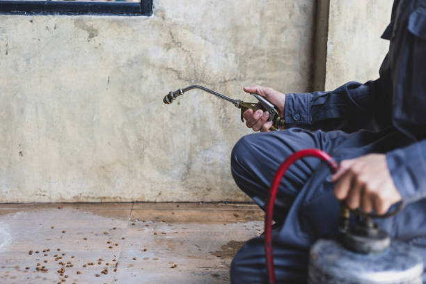 Best Pest Prevention Services  in Hyrum, UT